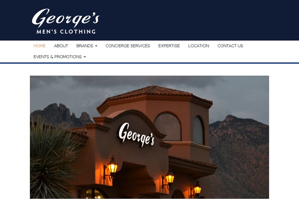 Rigel theme site design template sample