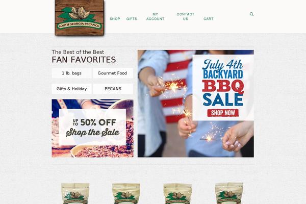 Salient theme site design template sample