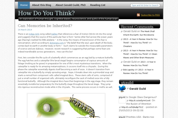 Blog Design Studio NewBlue theme site design template sample