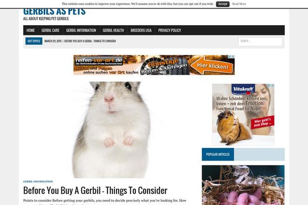 MH Newsdesk theme site design template sample