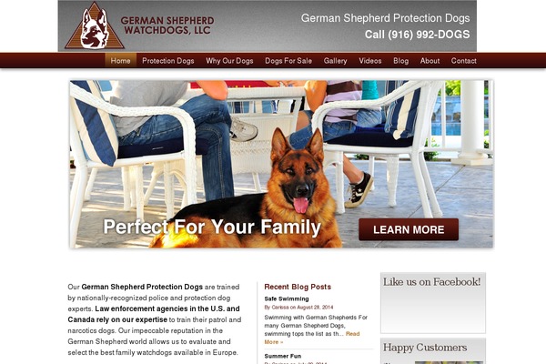 Bluediamond-v1-11 theme site design template sample