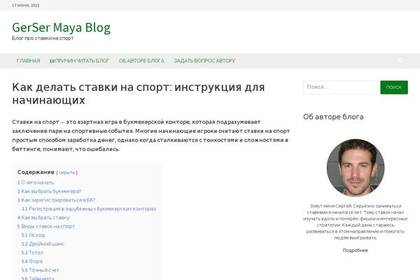 Bam theme site design template sample