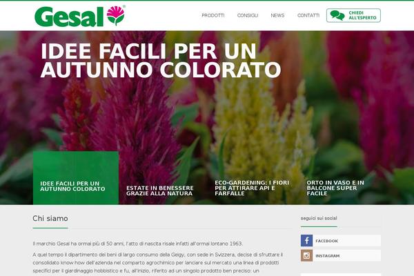 Site using Bluwidgets plugin