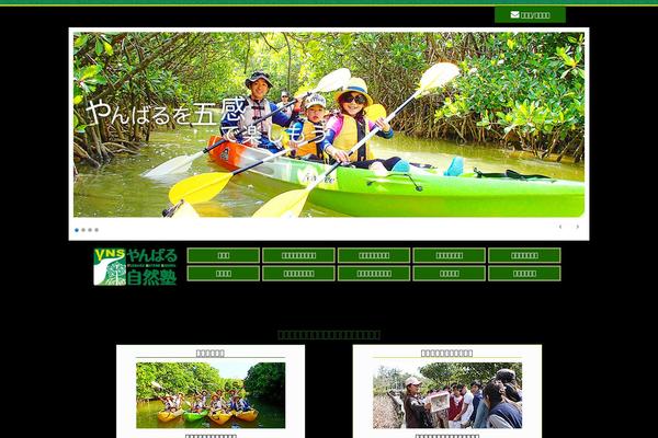 Site using WP PageNavi Style plugin