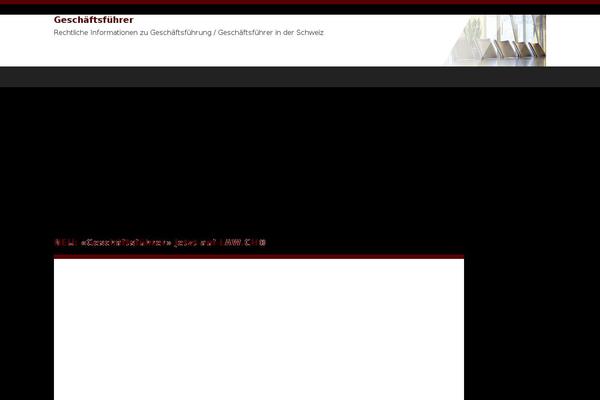 geschaeftsfuehrer.ch site used Understrap-landing