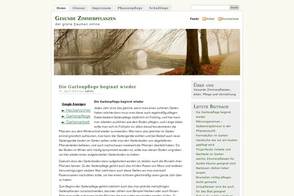 Misty_look_de theme site design template sample