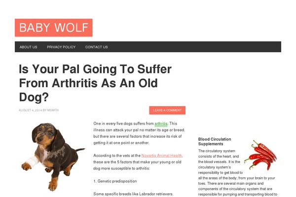 Magazine Pro theme site design template sample