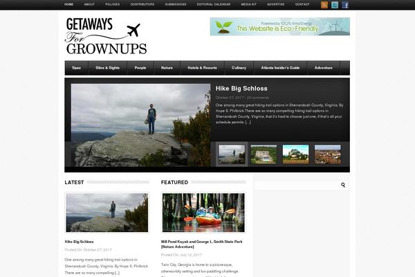 WordPress website example screenshot