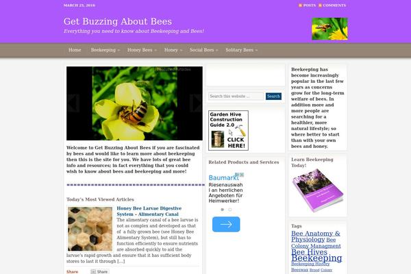 Papr theme site design template sample