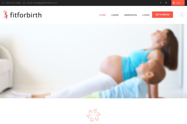 Site using WooCommerce Ecommerce Tracking for Google and Facebook plugin