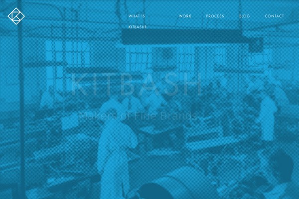 Medacorp theme site design template sample