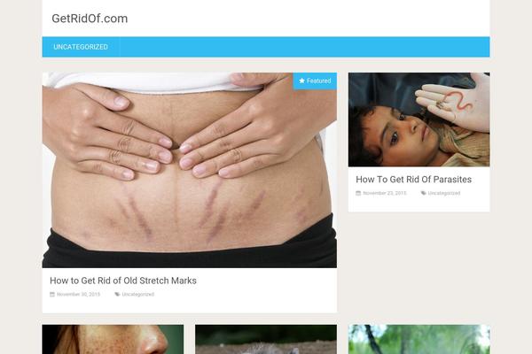 SociallyViral theme site design template sample