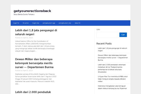 getyourerectionsback.com site used Newspaper Lite