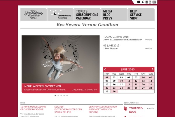 Site using Codecanyon-6235056-tumblr-photoset-gridmasonry-gallery-for-wordpress plugin