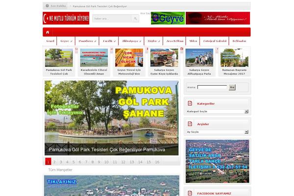 HaberMatikV32 theme websites examples