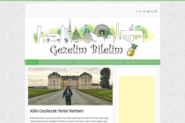 Site using Simple Share Buttons Adder plugin