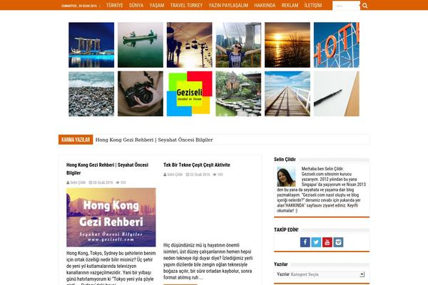 Sahifa theme site design template sample