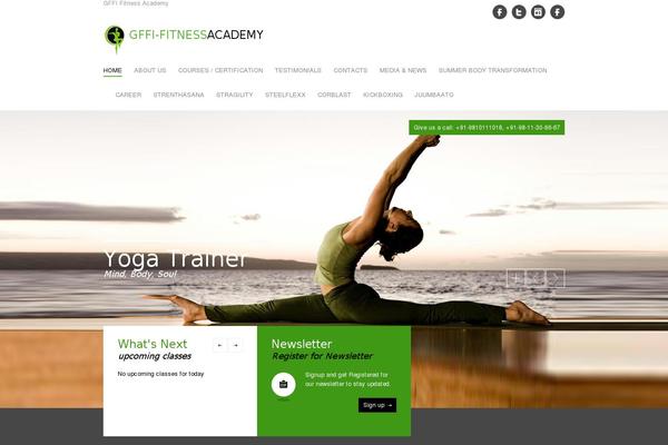 Site using WP Social Widget plugin