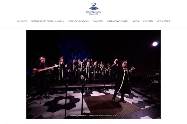 Site using Parallax_video_backgrounds_vc plugin
