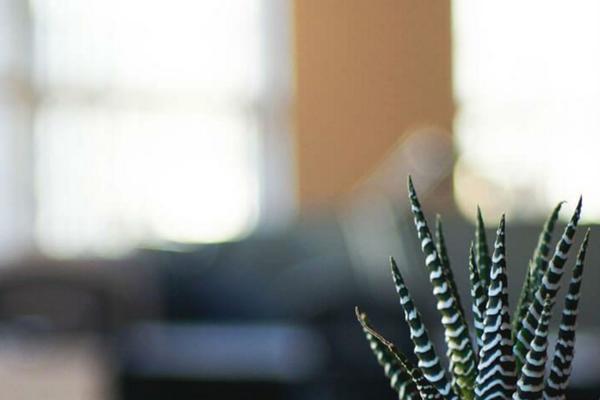 Twenty Seventeen theme site design template sample