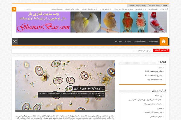 Sahifa-pro-plus theme site design template sample