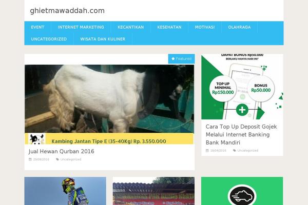 SociallyViral theme site design template sample