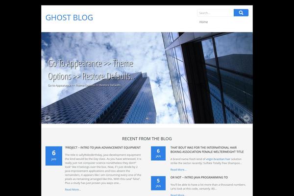 SKT Biz theme site design template sample