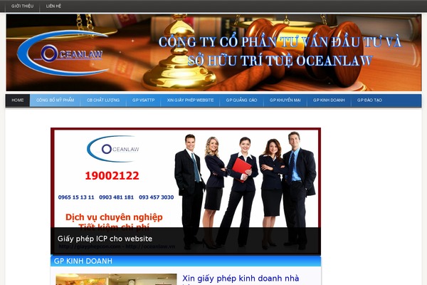 Vietmoz-wp theme site design template sample