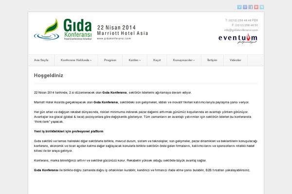 Beta theme site design template sample