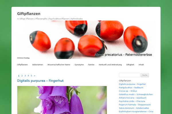 Infinity-pro theme site design template sample