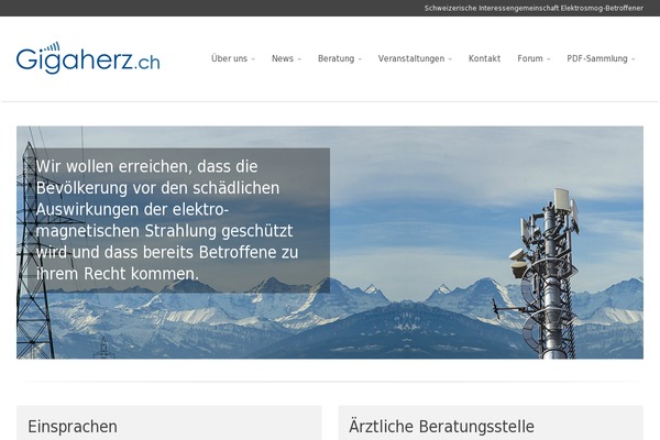 Metrolium theme site design template sample