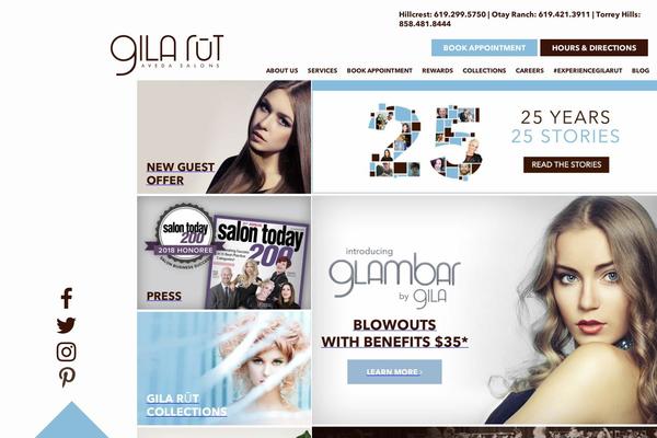 Site using Email Subscribers plugin