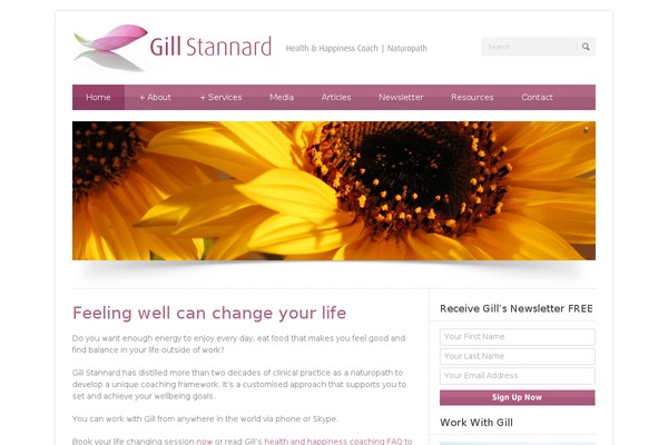Blue Diamond v1.09 theme site design template sample