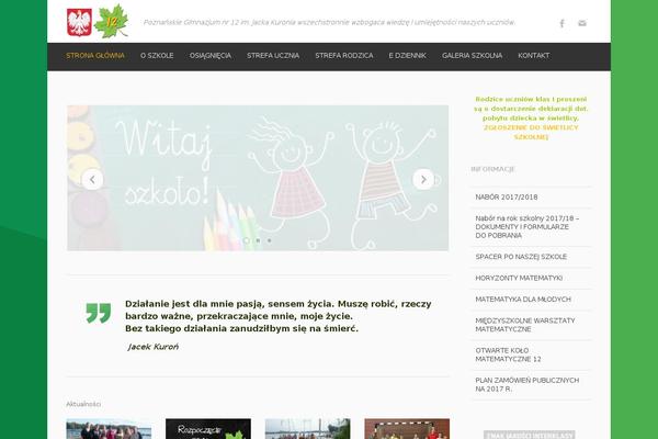Converio theme site design template sample