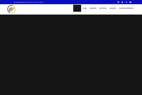 Splash theme site design template sample