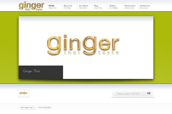 Avisio theme site design template sample