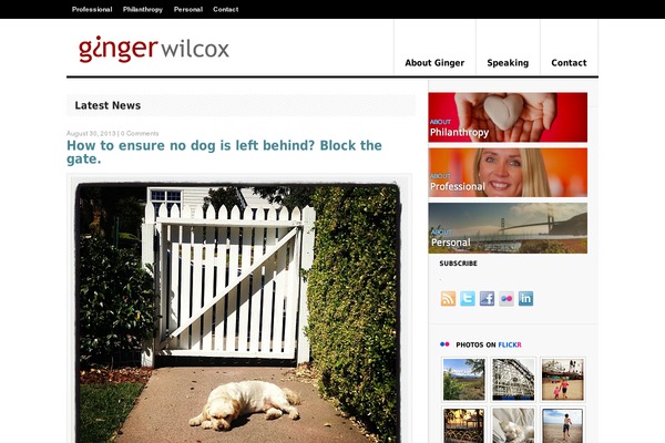 Delicious Magazine theme site design template sample