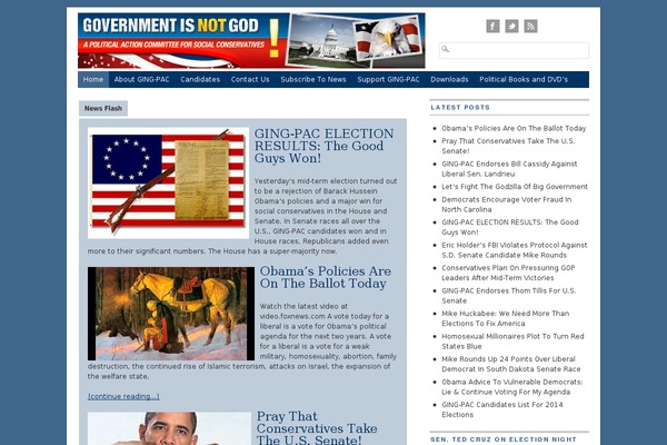 Branfordmagazine Pro theme site design template sample