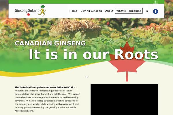 Enfold theme site design template sample