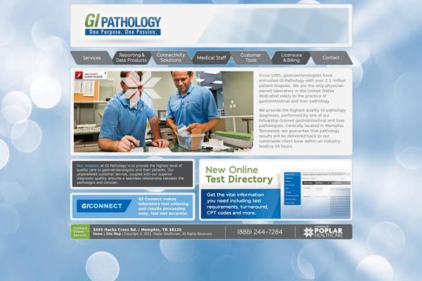 gipath.com site used Barecity 1.5