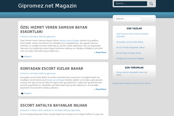 gipromez.net site used lithium