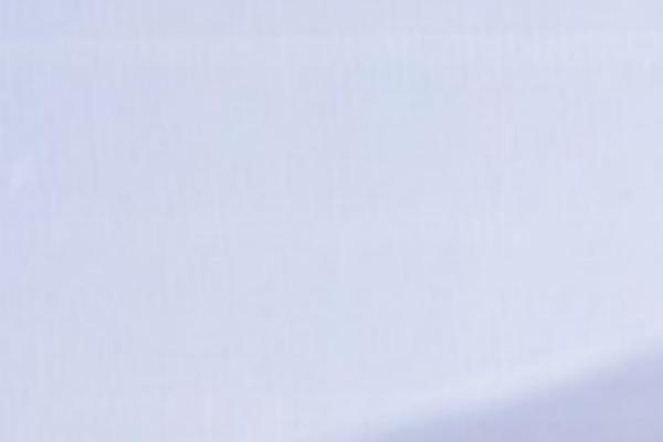 FWRD theme site design template sample