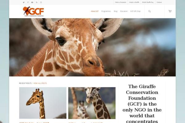 Site using Instant-css plugin