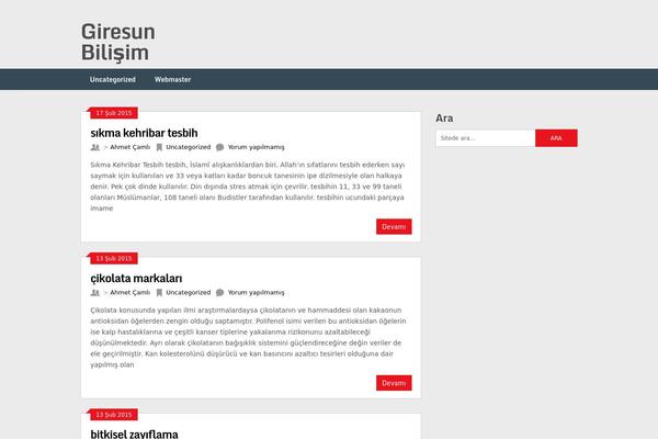 Ribbon theme site design template sample