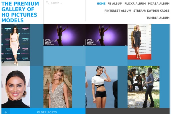 Site using Awesome-flickr-gallery-plugin-3.tmp plugin