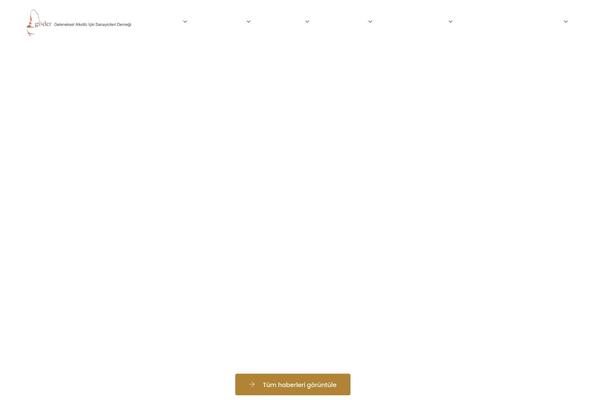 Navian theme site design template sample