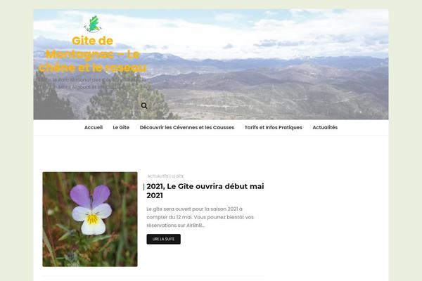 Wishful Blog theme site design template sample