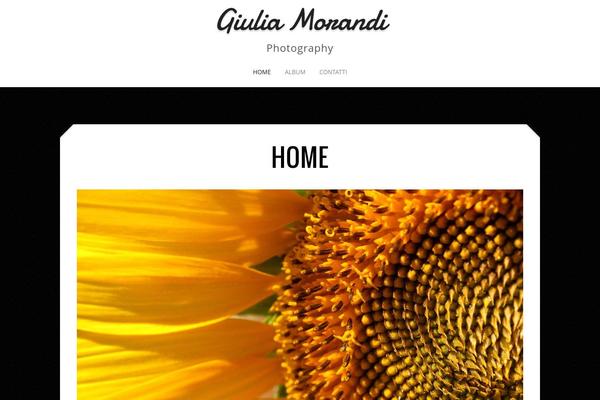 Capture theme site design template sample