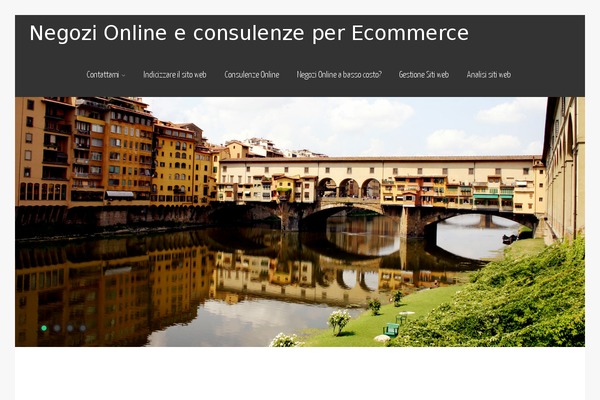 Asteria Lite theme site design template sample