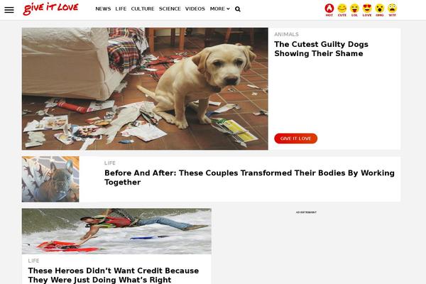 Common theme site design template sample